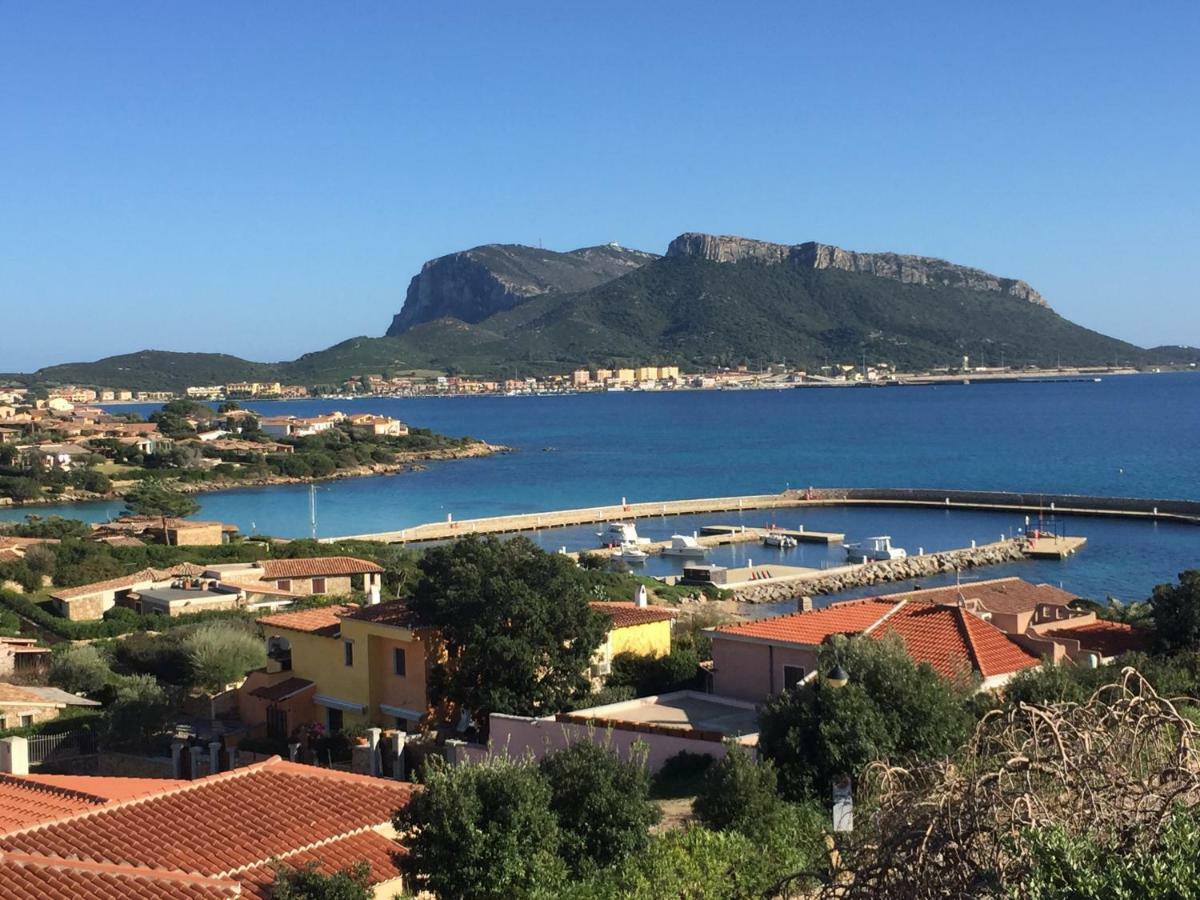 Apartament Blue Portrait House Golfo Aranci Zewnętrze zdjęcie