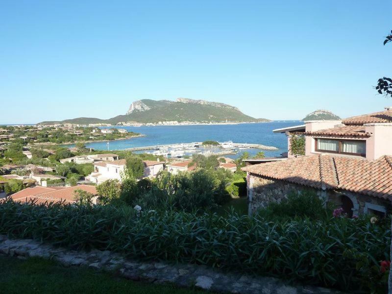Apartament Blue Portrait House Golfo Aranci Zewnętrze zdjęcie