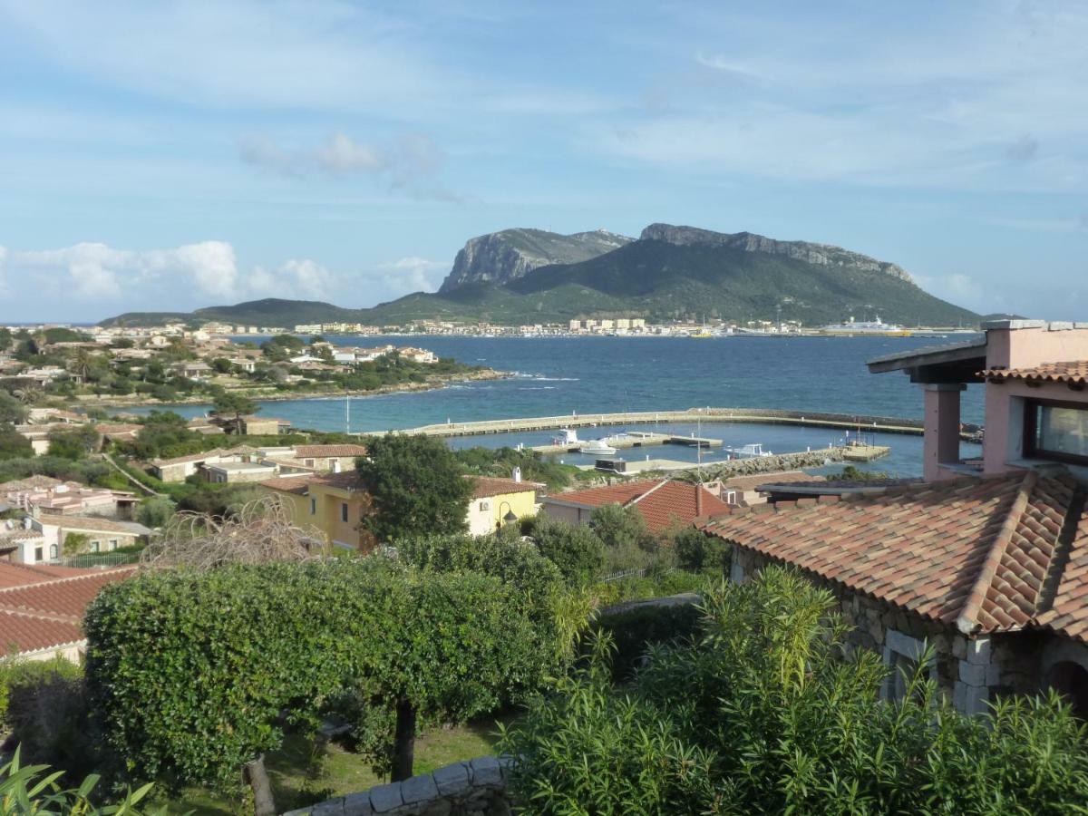 Apartament Blue Portrait House Golfo Aranci Zewnętrze zdjęcie